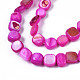 Chapelets de perles de coquille de trochid / trochus coquille SHEL-S258-083-B07-3