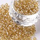 Perles de rocaille en verre SEED-A006-4mm-102-1