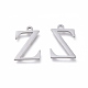 304 Stainless Steel Charms STAS-L263-24P-2