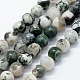 Chapelets de perles en agate d'arbre naturelle G-I199-03-14mm-1