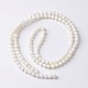 Coquille naturelle brins de perles rondes X-BSHE-O016-B-03-2