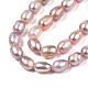 Natural Cultured Freshwater Pearl Beads Strands X-PEAR-N012-06A-5