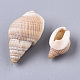 Natural Spiral Shell Beads SSHEL-S258-77-3