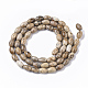 Natural Picture Jasper Beads Strands G-S364-019-2