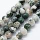Natural Tree Agate Beads Strands G-I199-03-8mm-4