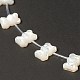 Perlas de concha de nácar de concha blanca natural BSHE-B005-06-3