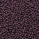 11/0 Grade A Baking Paint Glass Seed Beads X-SEED-N001-A-1049-2