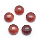 Natural Carnelian Cabochons G-P393-R03-10mm-1