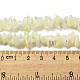 Fili di perline di conchiglia trochus naturale SSHEL-H072-12-4