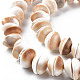 Chapelets de perles de coquillage naturel SSHEL-N034-100-3