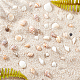 Perles de coquillage naturel SSHEL-FH0001-05-4