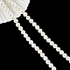 Perlen ca. 94 Stück natürliche Muschelperle SHEL-WH0001-009B-1