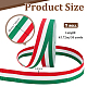 Nastro intrecciato in poliestere&nbsp;OCOR-WH0816-012B-1-2
