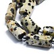 Natural Dalmatian Jasper Beads Strands G-K245-I03-01-3
