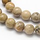 Natural Fossil Coral Round Bead Strands G-N0166-05-8mm-2