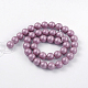 Round Shell Pearl Bead Strands X-BSHE-J011-8mm-A03-2