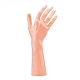 Exhibición de la mano femenina del maniquí de plástico BDIS-K005-02-2