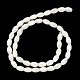 Brins de perles de coquillages naturels de troca BSHE-E030-02B-3