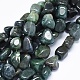 Natural Moss Agate Beads Strands X-G-F637-24-1