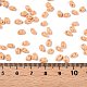 Выпечка краска стеклянные бусины SEED-T006-03E-4