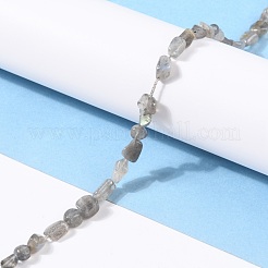 Natur Labradorit Perlen Stränge&nbsp;G-G018-24