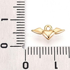 Messing Anhänger & Charms&nbsp;KK-T075-17G