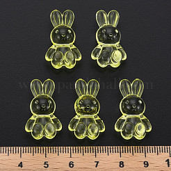 Abalorios de acrílico transparentes&nbsp;MACR-S373-81-B06