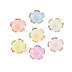 Chapeaux de perles en plastique&nbsp;KY-Q005-04A-M02