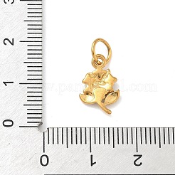 Ciondoli in acciaio inossidabile 304&nbsp;STAS-D206-06B-G