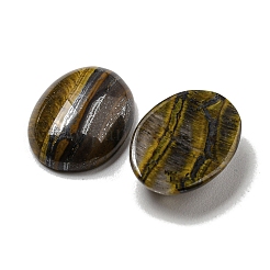 Natürliche Tigereisen-Cabochons&nbsp;G-C115-01A-28
