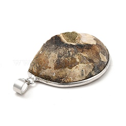 Schnecke fossilen Anhänger&nbsp;G-D051-1