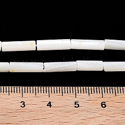 Süßwasser-Muschelperlen Stränge&nbsp;BSHE-L037-13