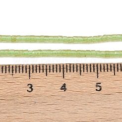 Natürlichen Peridot Perlen Stränge&nbsp;G-K399-A01-01