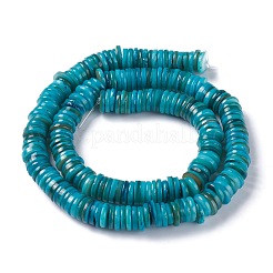 Eau douce naturelle de coquillage perles brins&nbsp;BSHE-I016-04C