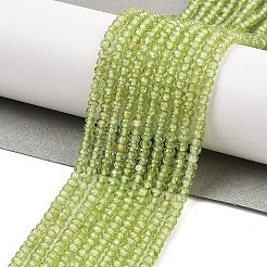 Natürlichen Peridot Perlen Stränge&nbsp;G-ONLY-T-B07-01