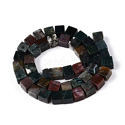 Naturali indian agata fili di perline&nbsp;G-T139-8x8-35C