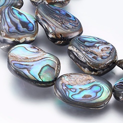 Natürliche Abalone Muschel / Paua Muschel Perlen Stränge&nbsp;SSHEL-P014-04
