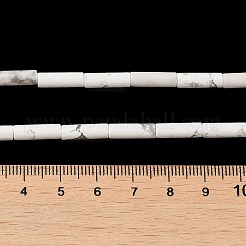 Synthetik Howlith Perlen Stränge&nbsp;G-K340-C06-01