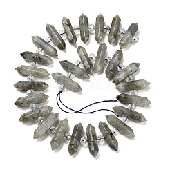 Natürliche Labradorit-Doppelendperlenstränge&nbsp;G-H069-B04-01