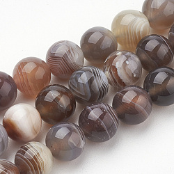 Chapelets de perles en agate naturelle du Botswana, teinte, ronde, 8mm, Trou: 1mm, Environ 50 pcs/chapelet, 15.7 pouce