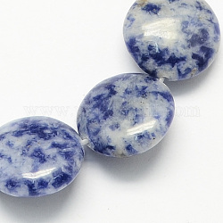 Brins de perles de jaspe de tache bleue naturelle, plat rond, 16x5mm, Trou: 1mm, Environ 25 pcs/chapelet, 16.5 pouce