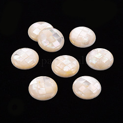 Cabuchones de conchas blancas naturales, plano y redondo, blanco, 16.5x3.5mm