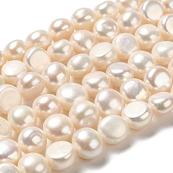 Fili di perle di perle d'acqua dolce coltivate naturali, due lati lucidati, grado 6 un, colore conchiglia, 8~9x8~9x6~6.5mm, Foro: 0.6 mm, circa 42~43pcs/filo, 13.98~14.17'' (35.5~36 cm)