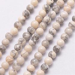 Natürliche Howlith Perle Stränge, Runde, 3~3.5 mm, Bohrung: 0.7 mm, ca. 115~125 Stk. / Strang, 16 Zoll