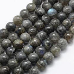 Chapelets de perles en labradorite naturelle , Grade A +, ronde, 10mm, Trou: 1mm, Environ 39 pcs/chapelet, 15.3 pouce (39 cm)