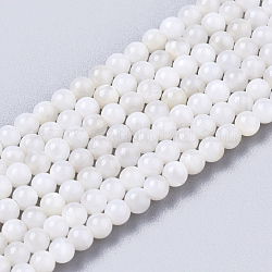 Eau douce naturelle de coquillage perles brins, teinte, ronde, floral blanc, 2.5mm, Trou: 0.7mm, Environ 150~190 pcs/chapelet, 14.96 pouce ~ 15.75 pouces
