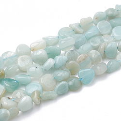 Chapelets de perles en amazonite naturelle, pierre roulée, pépites, 3~14x2~9x2.5~8mm, Trou: 1mm, Environ 50~55 pcs/chapelet, 15.94 pouce