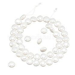 Nbeads 1 brin de perles de coquillage galvanisées, polie, plat rond, blanc, 9.5~10x5~5.5mm, Trou: 1mm, Environ 41 pcs/chapelet, 16.14 pouce (41 cm)