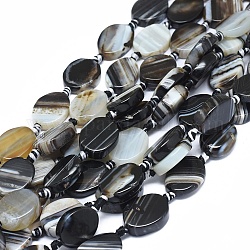 Agate à bandes naturelles / brins de perles d'agate à rayures, teints et chauffée, ovale et torsion, noir, taille: 19~22x13~18x4~6.5 mm, Trou: 1.6mm, Environ 16 pcs/chapelet, 15.55 pouce (39.5 cm)