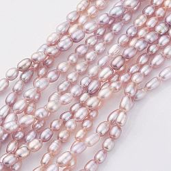 Fili di perle di perle d'acqua dolce coltivate naturali, riso, rosa nebbiosa, 5.5~7x3.5~4.5mm, Foro: 0.5 mm, circa 53~64pcs/filo, 14.3 pollice (36.5 cm)